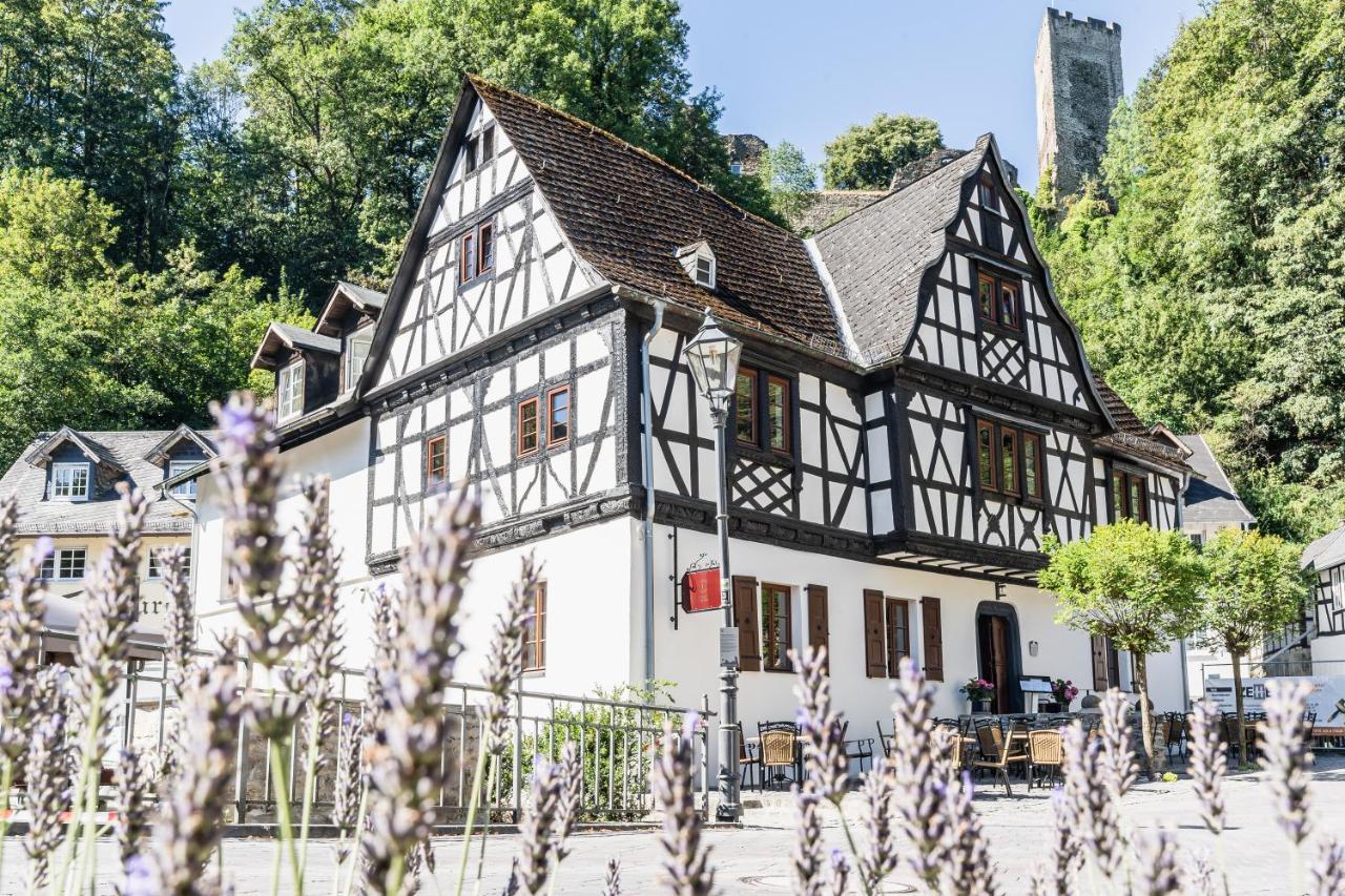 Landgasthof Zur Burg Grenzau Höhr-Grenzhausen Extérieur photo